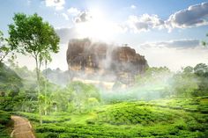 a lush green field with trees and mountains in the background, surrounded by foggy clouds