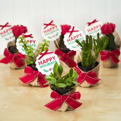 small pots with succulents and happy holidays tags on them sitting on a table