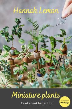 Miniature houseplants by Hannah Lemon. Polymer Clay Miniatures Tiny Things, Miniature Plants Diy How To Make, Miniature Plants Diy, Haunted Conservatory, Tiny Houseplants, Tiny Clay Creations, Tiny Clay Things, Bookshelf Dollhouse