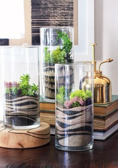 three glass vases with plants in them and the words how to make cute terrariums