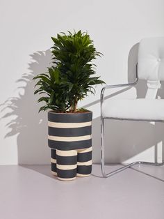 a potted plant sitting next to a white chair