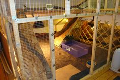 a caged in area with a bird inside and a purple container on the floor