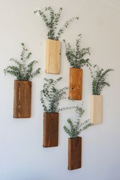 four wooden vases with plants in them hanging on the side of a white wall