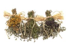 three bundles of dried herbs tied together