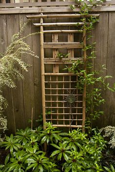 a bamboo trellis in the corner of a garden