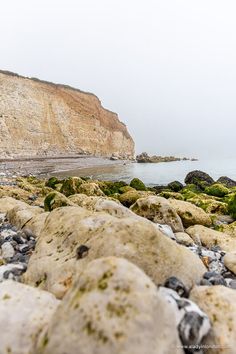 beach in Sussex East Sussex England