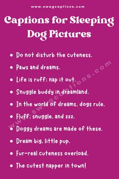 Captions for Sleeping Dog Pictures Sleeping Dog Captions, Puppy Instagram Bio Ideas, Dog Sleeping Quotes, Sleepy Dog Quotes, Puppy Captions Instagram So Cute, Puppy Captions Instagram, Puppy Instagram Captions, Dog Captions Instagram Cute, Dogs Captions Instagram Cute