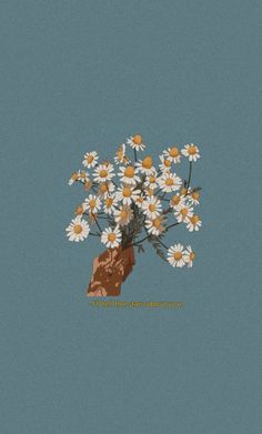 a bouquet of daisies in a brown vase on a blue background with the words, you can't get more flowers than daisies