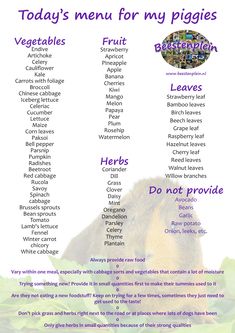 a poster with the names of different animals and their respective words in purple on it