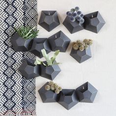 several black vases with succulent plants in them