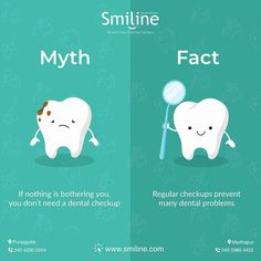 Dental Fun Facts Did You Know, Dental Facebook Post Ideas, Dentist Tips, Dental Marketing Ideas, Dentist Poster, Dentist Cartoon, Happy Dental, Dentist Marketing