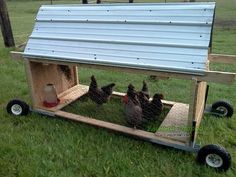 three chickens in a chicken coop on wheels