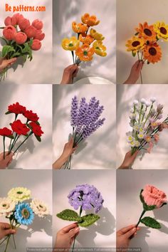 nine different types of flowers being held together