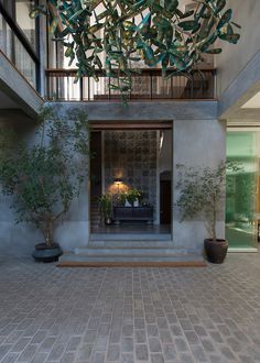 an indoor courtyard with potted plants and stairs