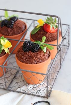 four potted cakes with berries and flowers in them sitting on a wire rack next to a pair of eyeglasses