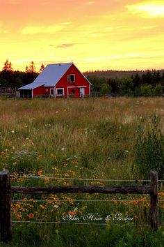 a red barn sits in the middle of a field with wildflowers at sunset