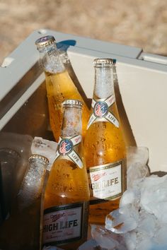 three bottles of beer sitting in an ice chest