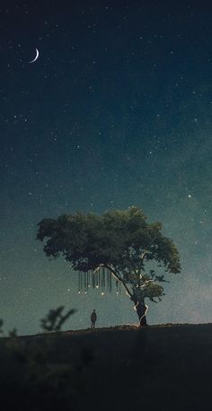 two people standing under a tree at night with the moon in the sky above them