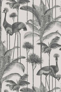 an image of a wallpaper with birds and palm trees in black and white colors