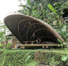 a man sitting on top of a wooden structure in the middle of a jungle area