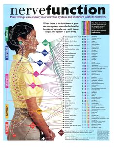 Punkty Spustowe, Fitness Hacks, Pranic Healing, Medical Anatomy, Chiropractic Care, Carpal Tunnel, Nerve Pain, Reflexology, Sciatica