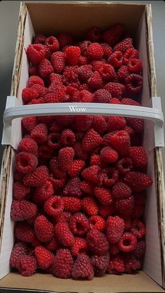 two boxes filled with raspberries sitting next to each other