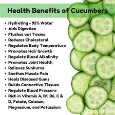 Can Dogs Eat Cucumbers? Benefits and Side Effects Cucumber Health Benefits, Cucumber Benefits, Sport Nutrition, Stomach Ulcers