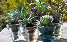 three glass vases with succulent plants in them on a stone ledge outside