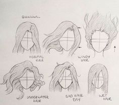 a drawing of different hairs and hair styles