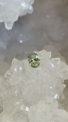 This sapphire has such an interesting interplay of greens, depending on which way you turn the gem. When it’s viewed vertically, one side shows more seafoam, but if you flip it the other way it shows chartreuse. When you view it horizontally, the colors blend more. There is a very small eye-visible inclusion in the crown by the star facets that translates to the naked eye as a speck of pepper. I can’t quite tell if it’s a spinel or a garnet crystal. Either way, it’s super cool and unique. Other Gia Certified Oval Green Gemstones, Garnet Crystal, Montana Sapphire, Color Blending, Sea Foam, How To Dry Basil, Oval Cut, Montana, Garnet