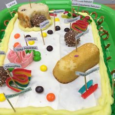 a green tray topped with lots of desserts