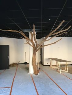 an empty room with two tables and a tree