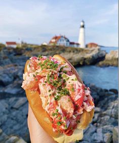 a person holding up a sandwich with lobster on it in front of the ocean and a lighthouse