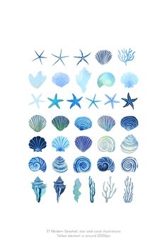 an illustration of various sea shells and starfishs