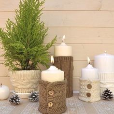 three white candles sitting next to each other on a table with pine cones and evergreen branches