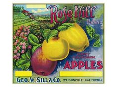 an old fashioned fruit crate label with two peaches on the front and one apple in the back