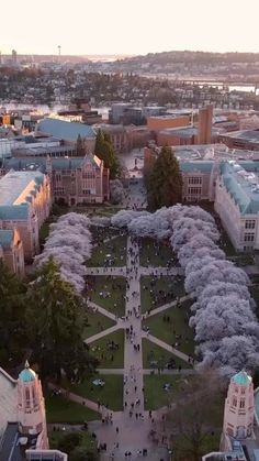 an aerial view of a campus with trees and buildings in the background at sunset or dawn