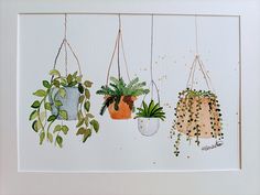 three potted plants hanging from hooks on a wall