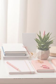 a white desk topped with notebooks and a potted plant