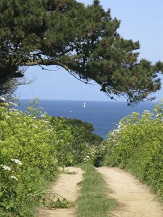 a dirt path leading to the ocean with trees on either side and sailboats in the distance