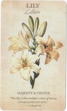 a card with an image of lilies on it