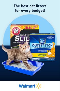 Fresh Step, Arm & hammer, Cat litter, Cat litter hacks, Cat, Cat parents, Kitten litter, Kitten hacks, Cat accessories, Pets, Cat health, Pet parents, Pet accessories, Pet hacks, Fresh Step litter, Arm & hammer litter, Litter box hacks, Best Cat Litter, Food Cat, Cat Dad Gifts, Cat Health Care, Cat Scratchers, Cat Fleas, Walmart Gift Cards