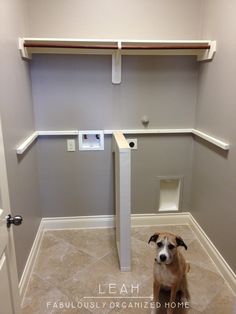 a dog sitting on the floor in front of a door