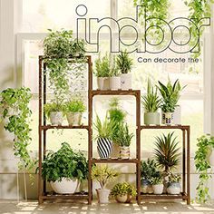 a magazine cover with plants on shelves in front of a window and the words indoor can decorate the room