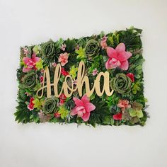 the name aloha is surrounded by flowers and succulents on a white wall