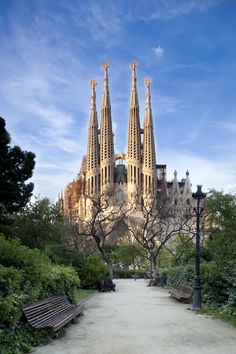 the large cathedral has many spires on it's sides and is surrounded by trees