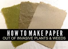 how to make paper out of invesive plants and weeds with text overlay