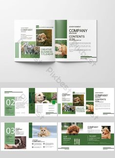 a green and white brochure with pictures of dogs