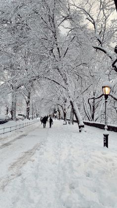 people walking down a snow covered sidewalk next to trees and lampposts in the winter