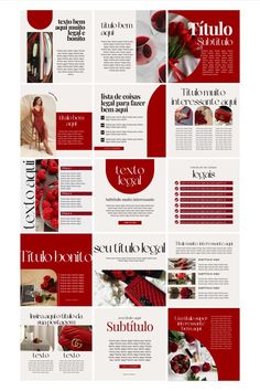 a red and white brochure is shown in this graphic art work, it looks like